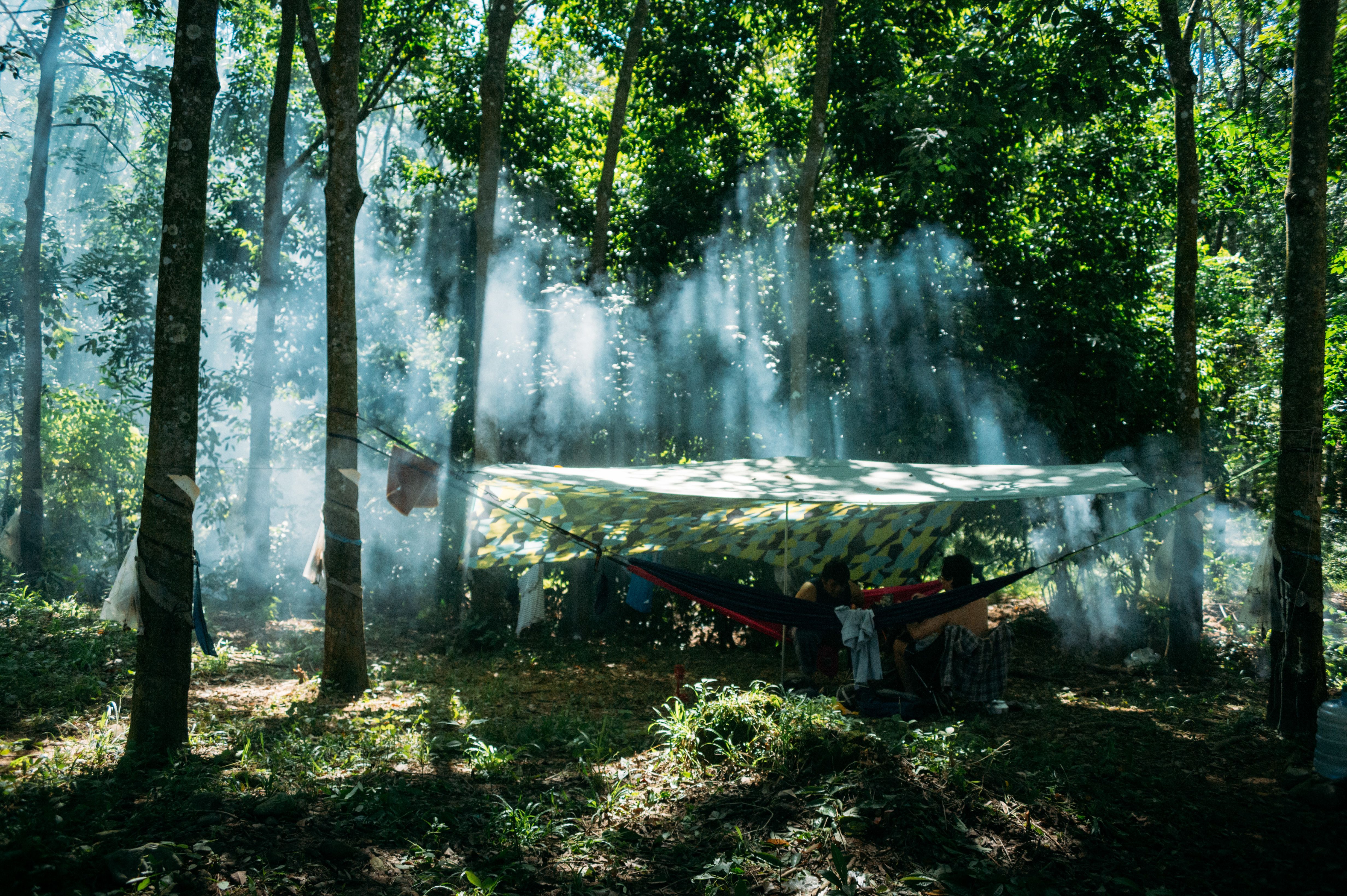 How Does Fogging Help Control Mosquitoes