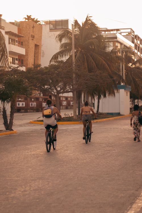 Free Group enjoying a casual bike ride on a palm-lined street in a tropical city at sunset. Stock Photo