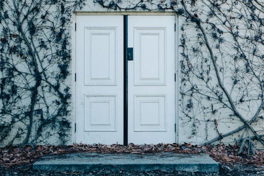 Free stock photo of wall, door, entrance, ivy