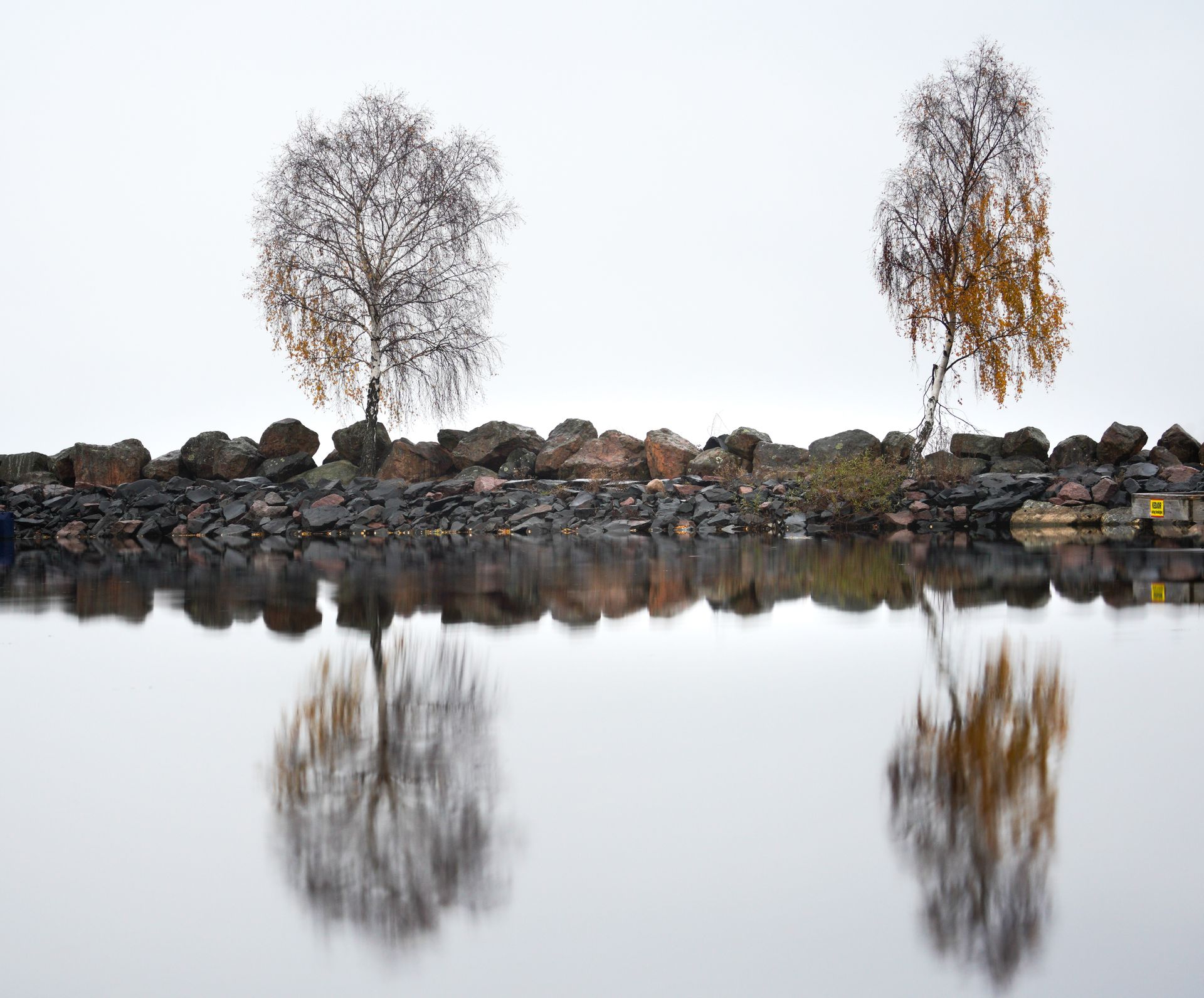 Peaceful lake scene with birch trees reflecting on calm water.