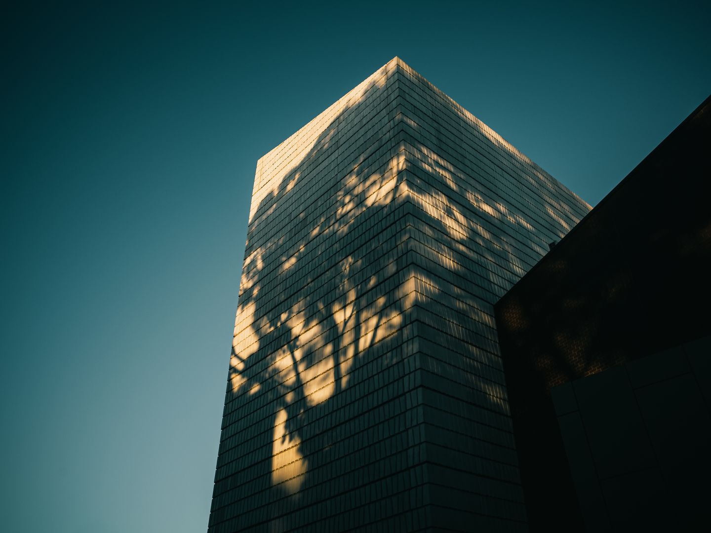 Modern Architecture