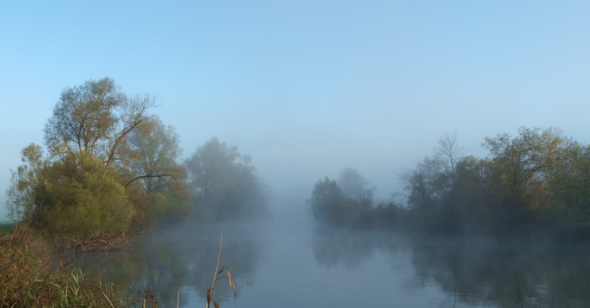Free stock photo of fog, mystical, river