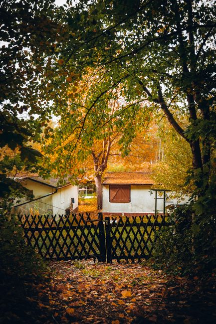 A picturesque cabin surrounded by vibrant autumn foliage, offering a serene escape.