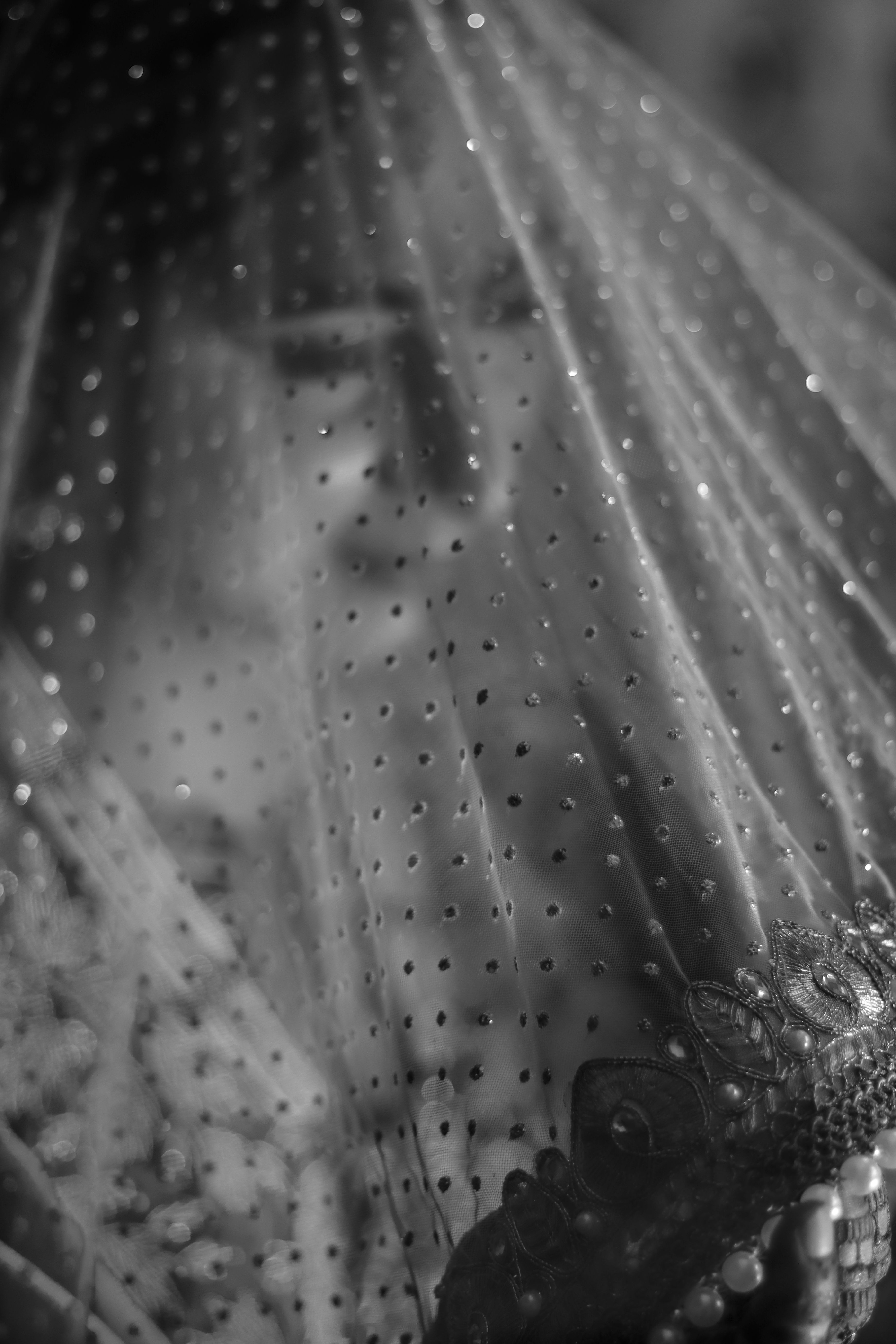 A beautiful bride in traditional attire is seen through a sparkling veil in this captivating black and white portrait.