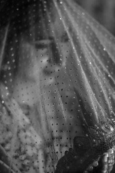 A beautiful bride in traditional attire is seen through a sparkling veil in this captivating black and white portrait.