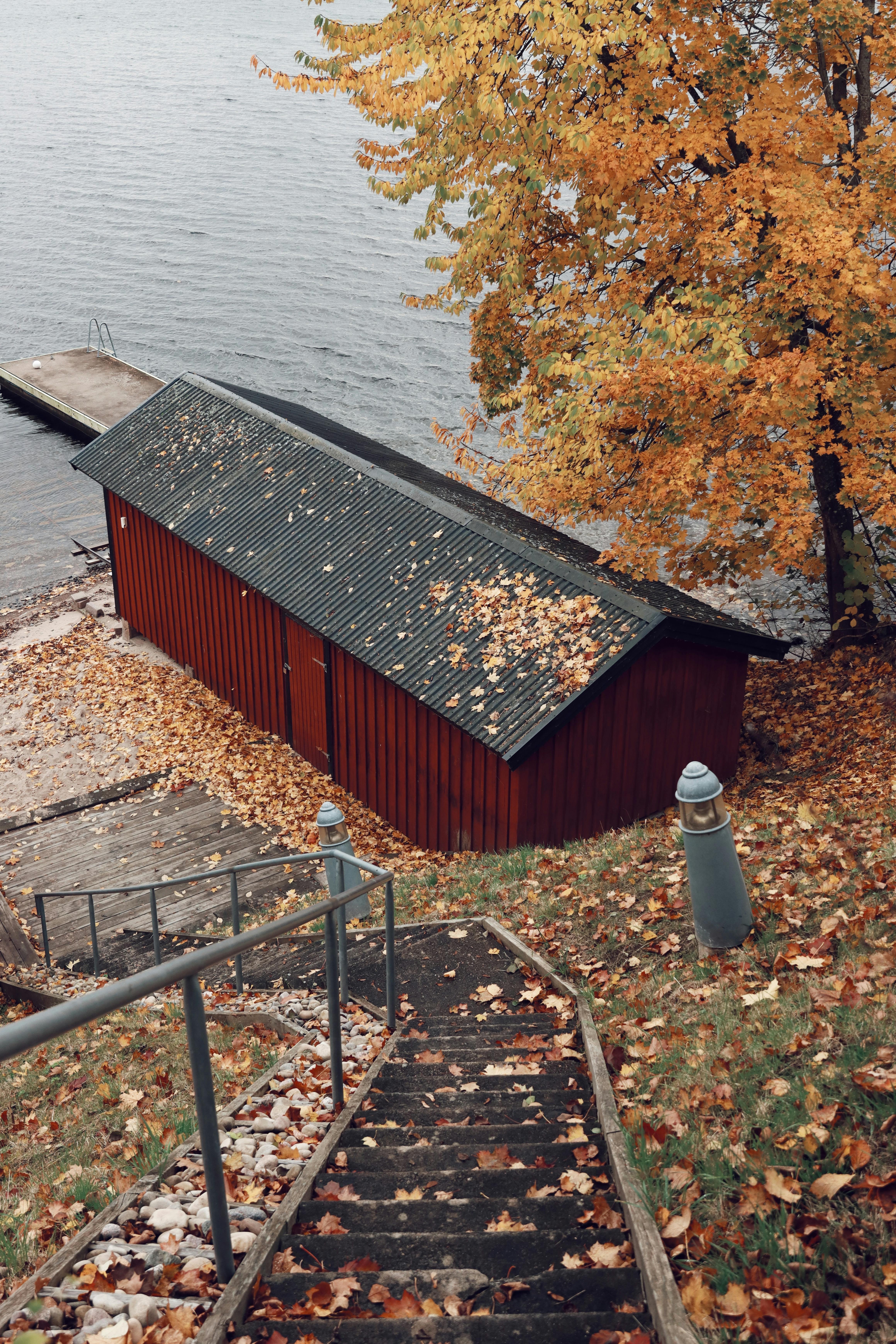 rustic autumn scene by lake in sweden