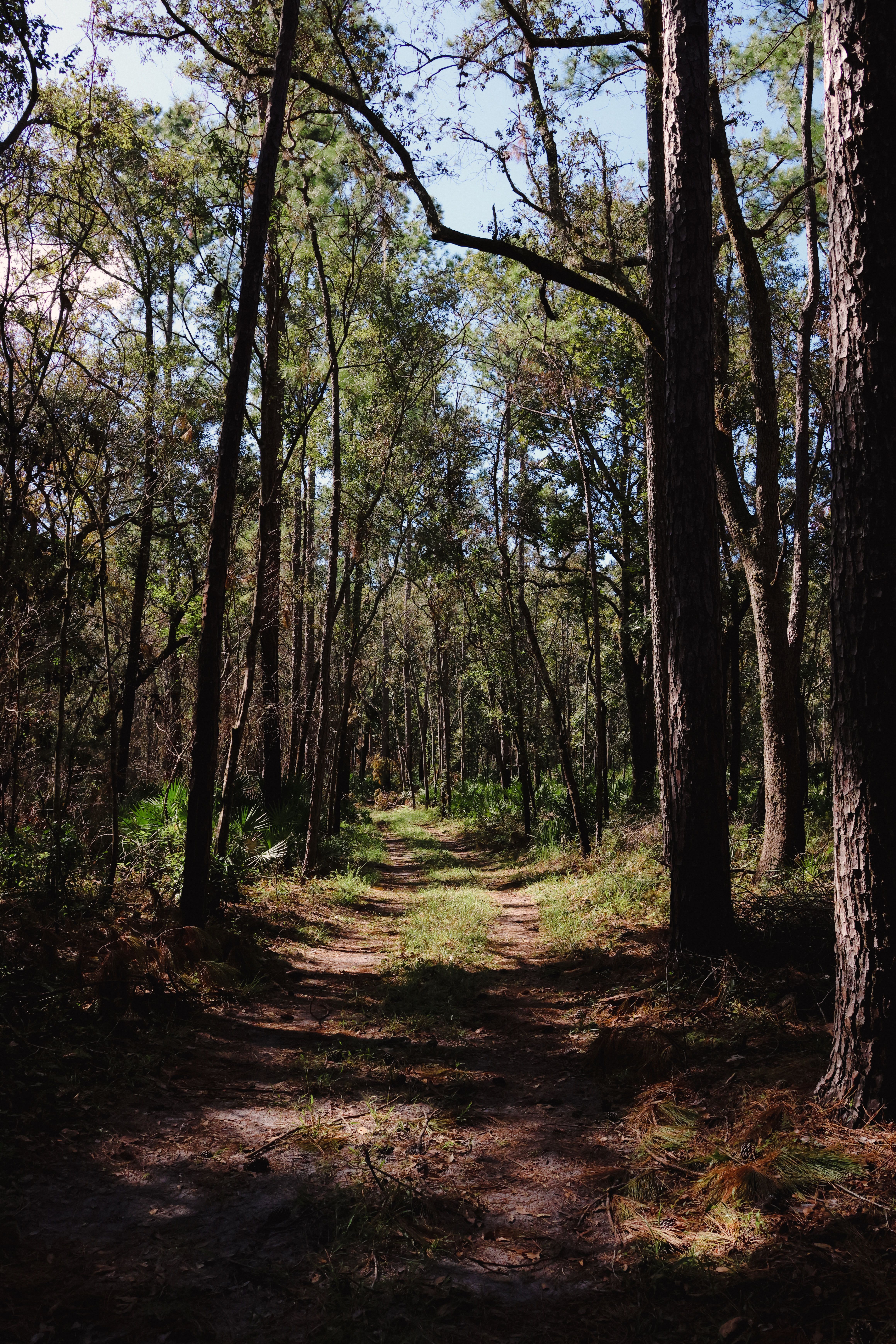 things to do in zephyrhills