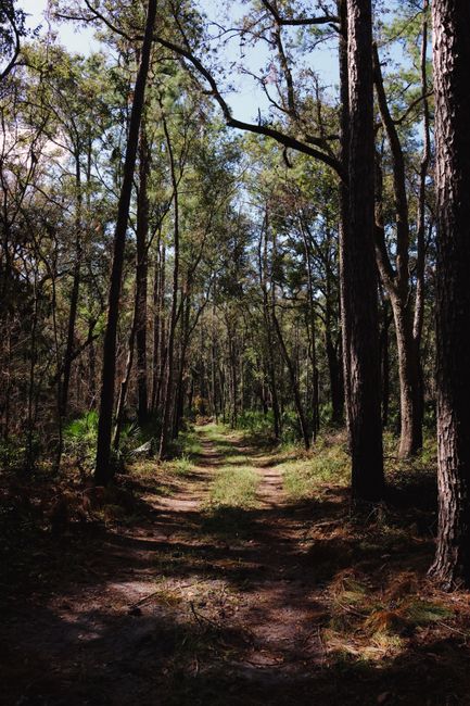 Explore a Riverside Nature Trail things to do in zephyrhills