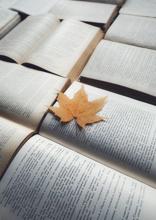 Book Open Fall Pfp Open Books with Autumn Leaf and Vintage Vibe · Free Stock Photo