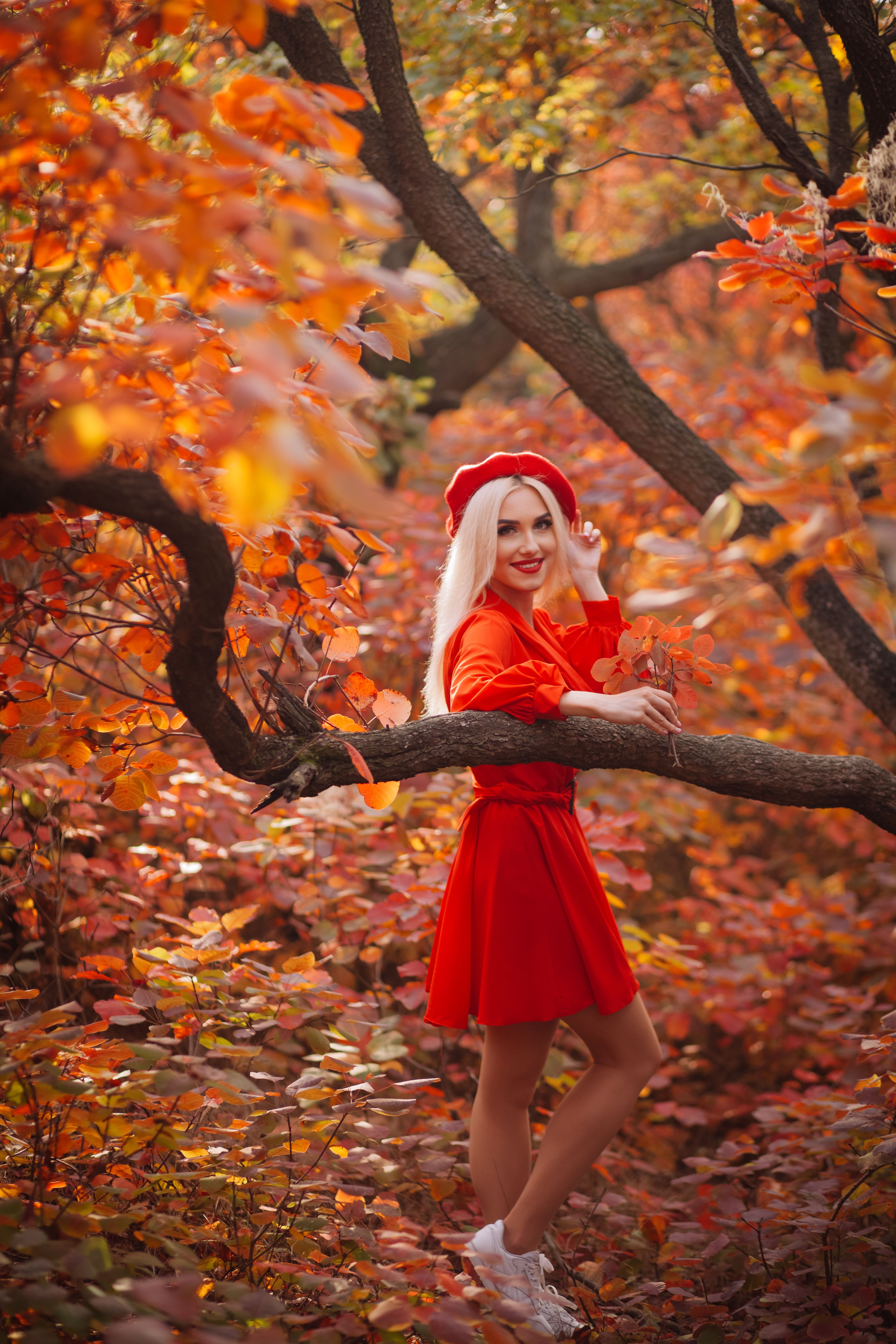 Woman in Red Dress Among Autumn Leaves · Free Stock Photo