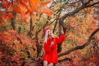 Herbstfarben 2025