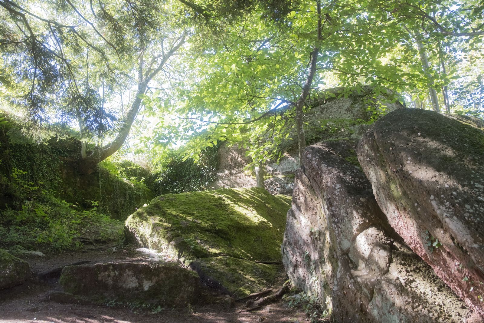 Composition naturelle
