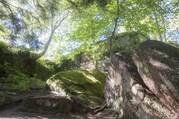 Composition naturelle