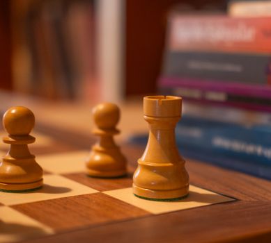 Focused view of chess pieces on a wooden board with blurred books in the background.