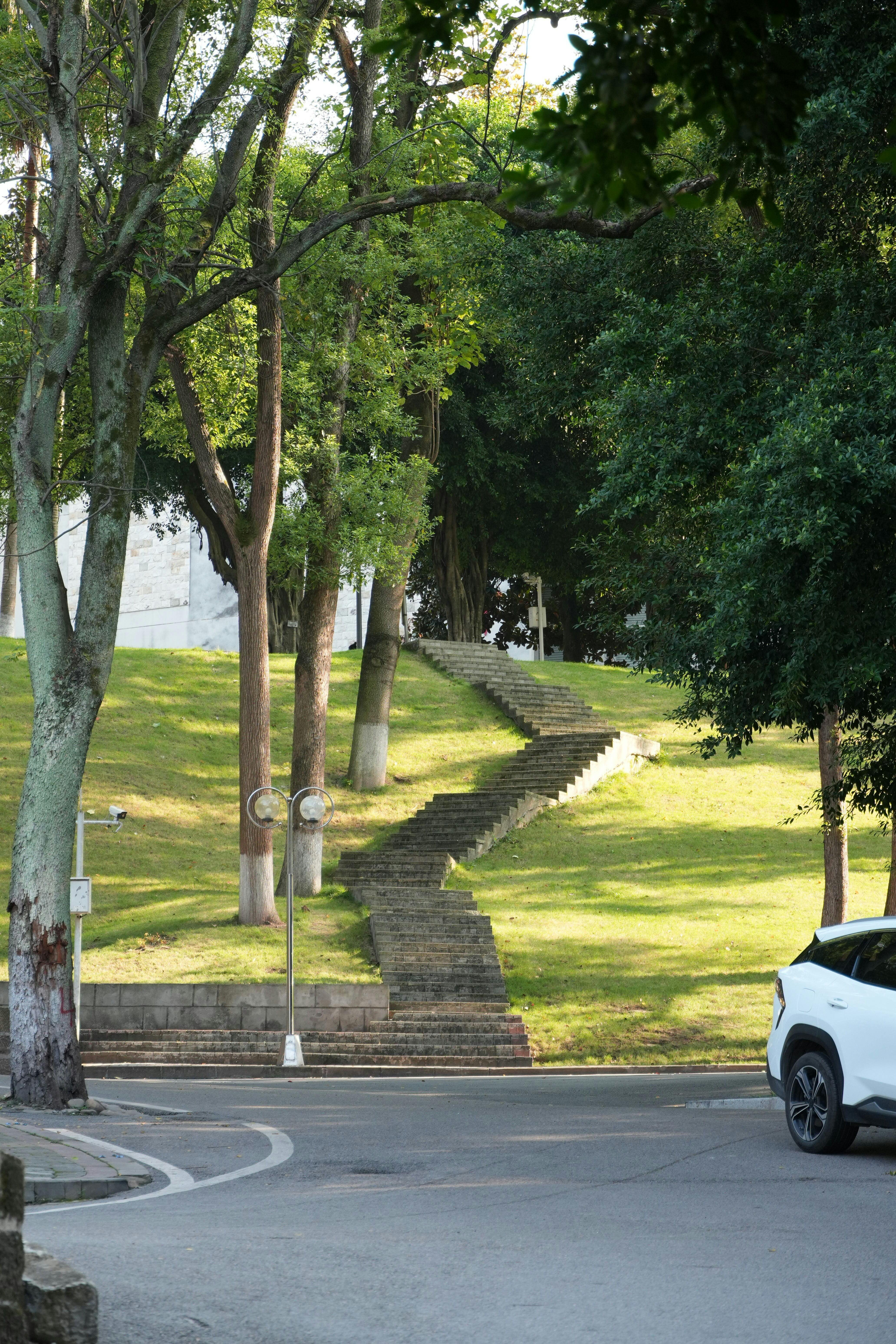 Gratis Una tranquilla scena di parco che mostra una lunga scalinata circondata da alberi e vegetazione lussureggiante. Foto a disposizione