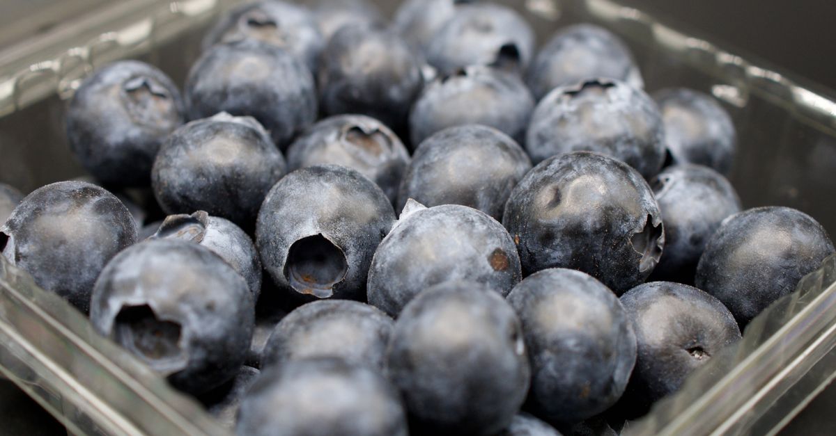 Close-up of fresh blueberries in a clear container, showcasing healthy fruit in Doha, Qatar. - Evidence evidence guide for blueberries mood randomized trial