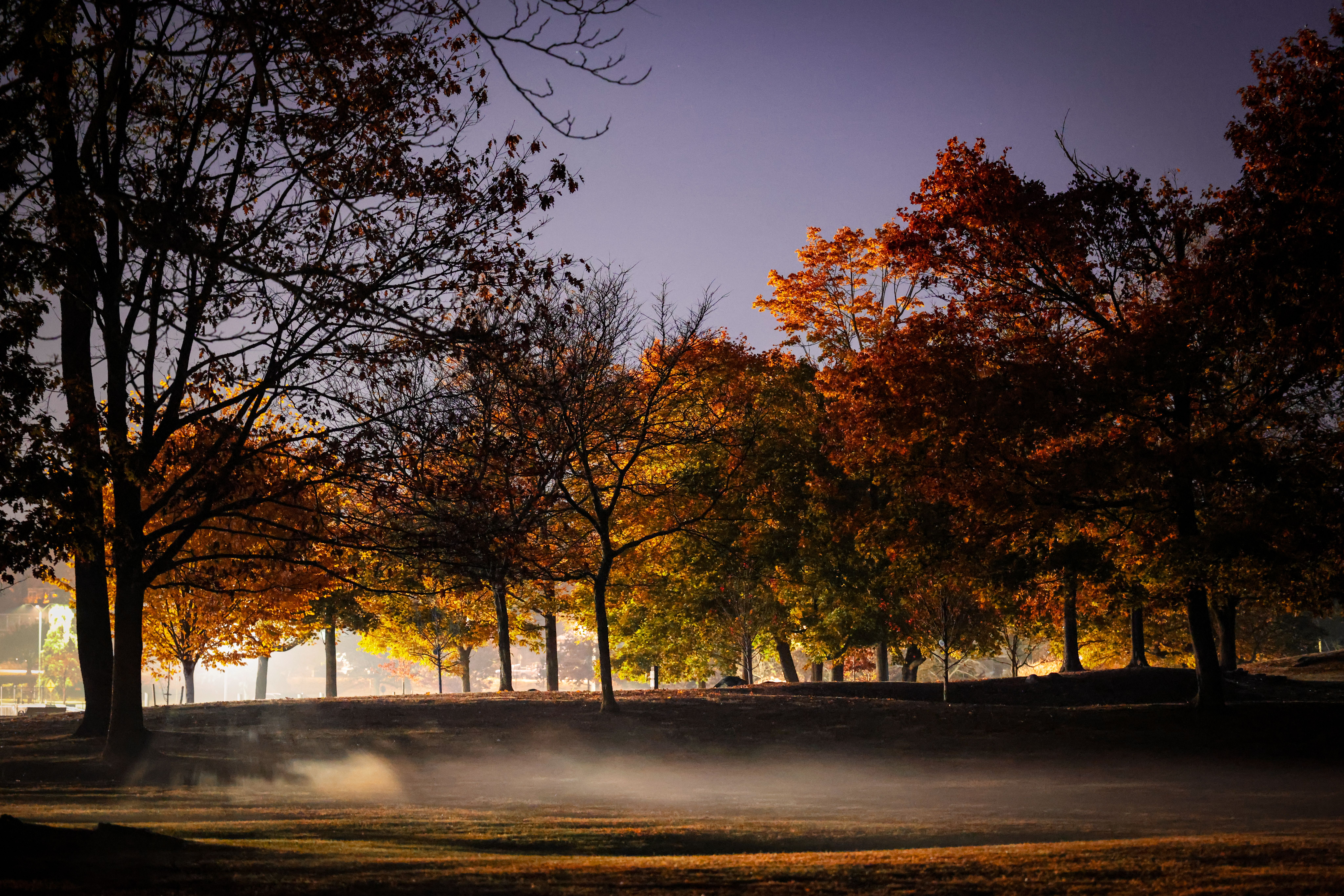Autumn Twilight in Stamford Park · Free Stock Photo