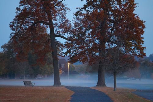 Free Foggy autumn morning at Cove Island Park, Stamford, Connecticut with mist and fall foliage. Stock Photo