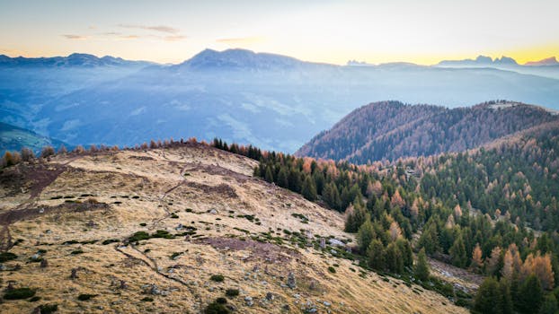 Beautiful aerial shot of Trentino-South Tyrol mountains during sunrise, showcasing autumn foliage.