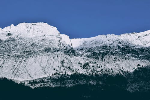 阿爾卑斯山的風景照片