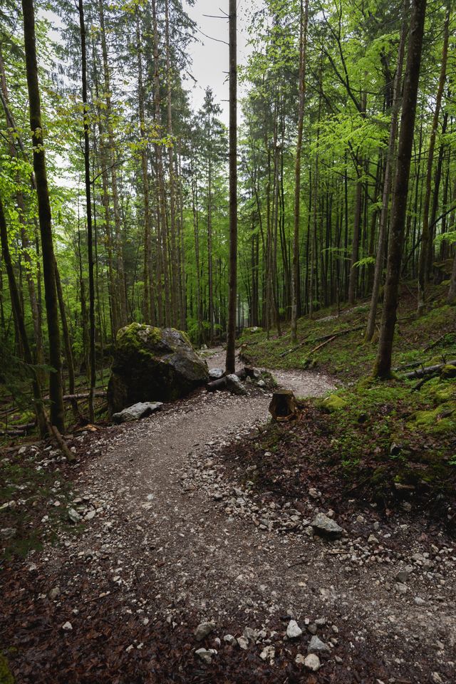 path
