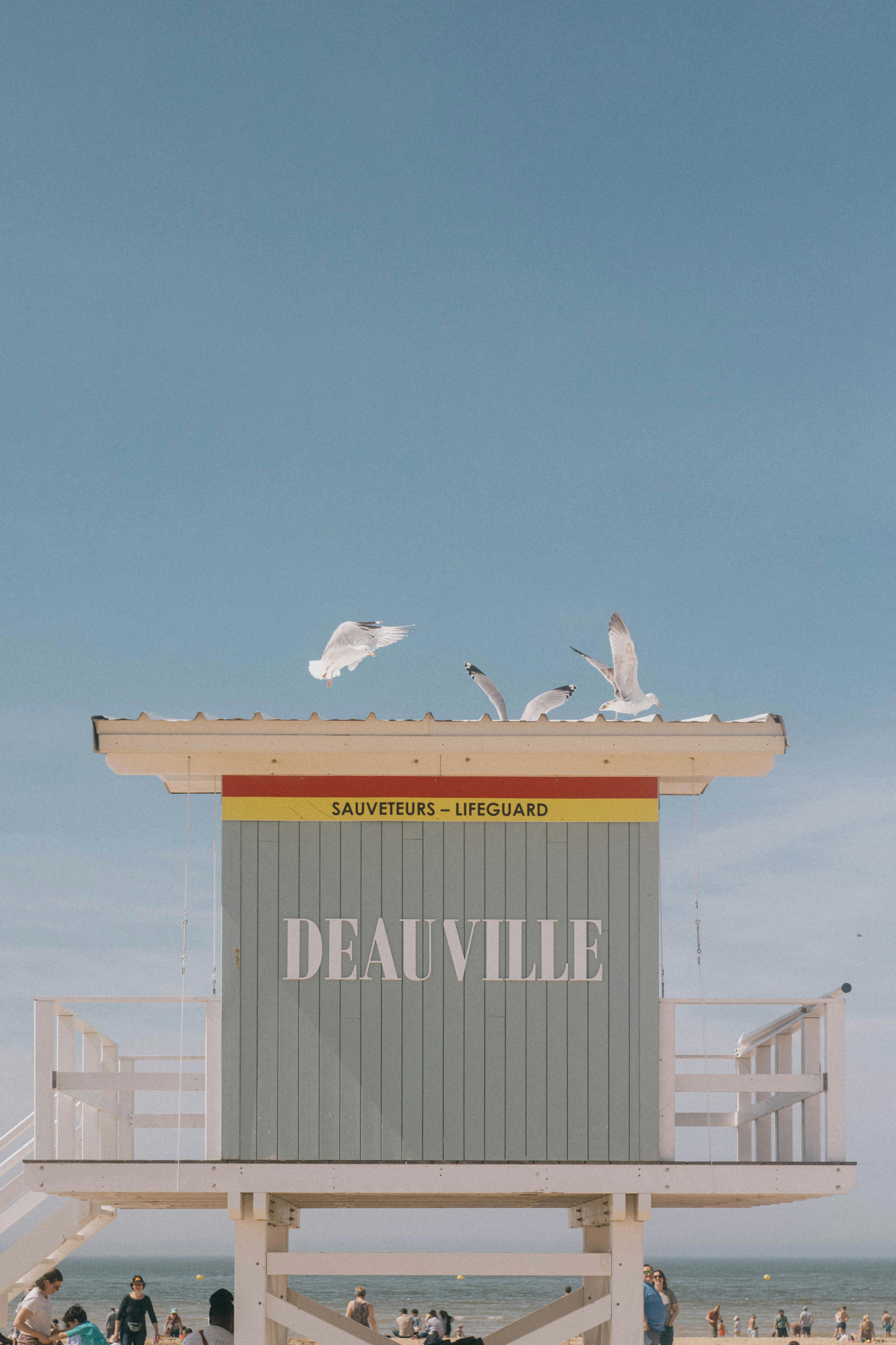 Seagulls perched on a lifeguard post in Deauville, France, under clear blue skies.