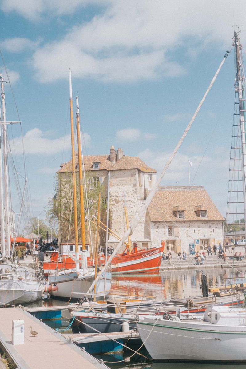 Colorful boats docked at Honfleur's historic old harbour lined with tall narrow buildings