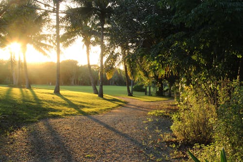 Foto profissional grátis de caminho, campo de golfe, golfe