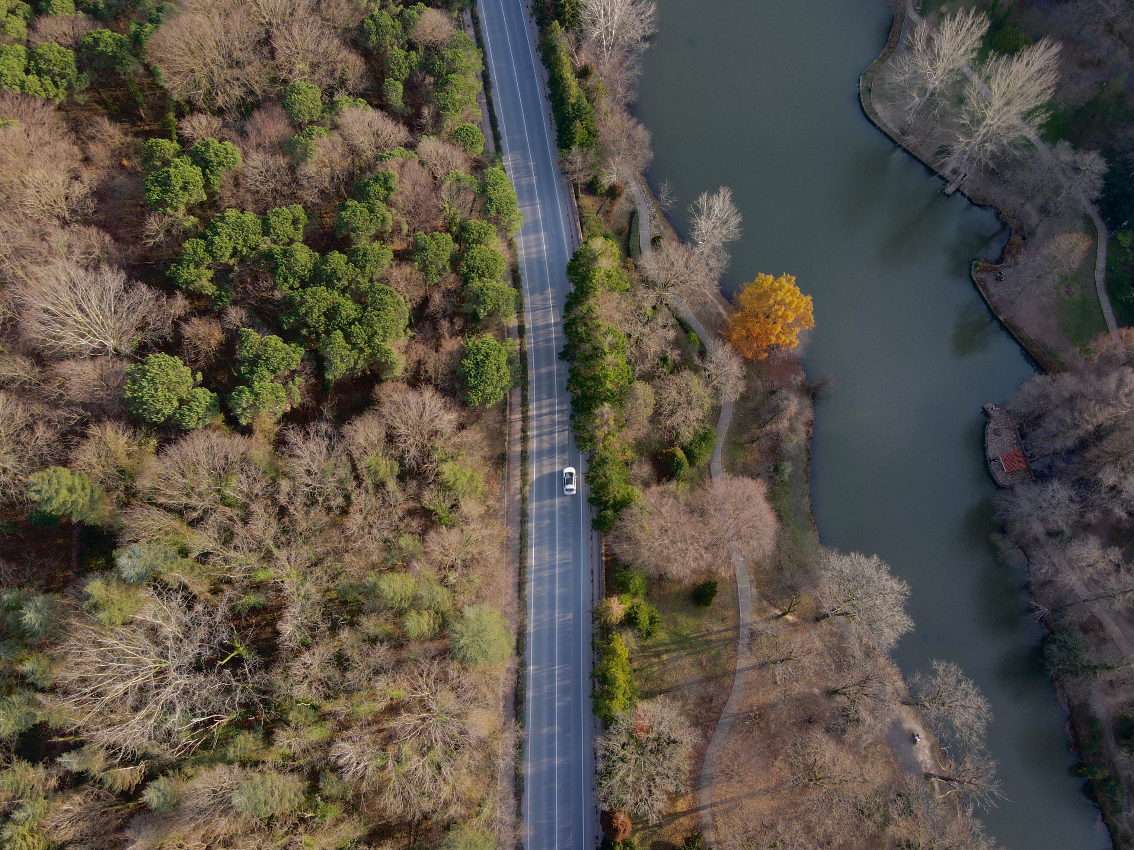 Aerial View of Road and River in Autumn Forest · Free Stock Photo