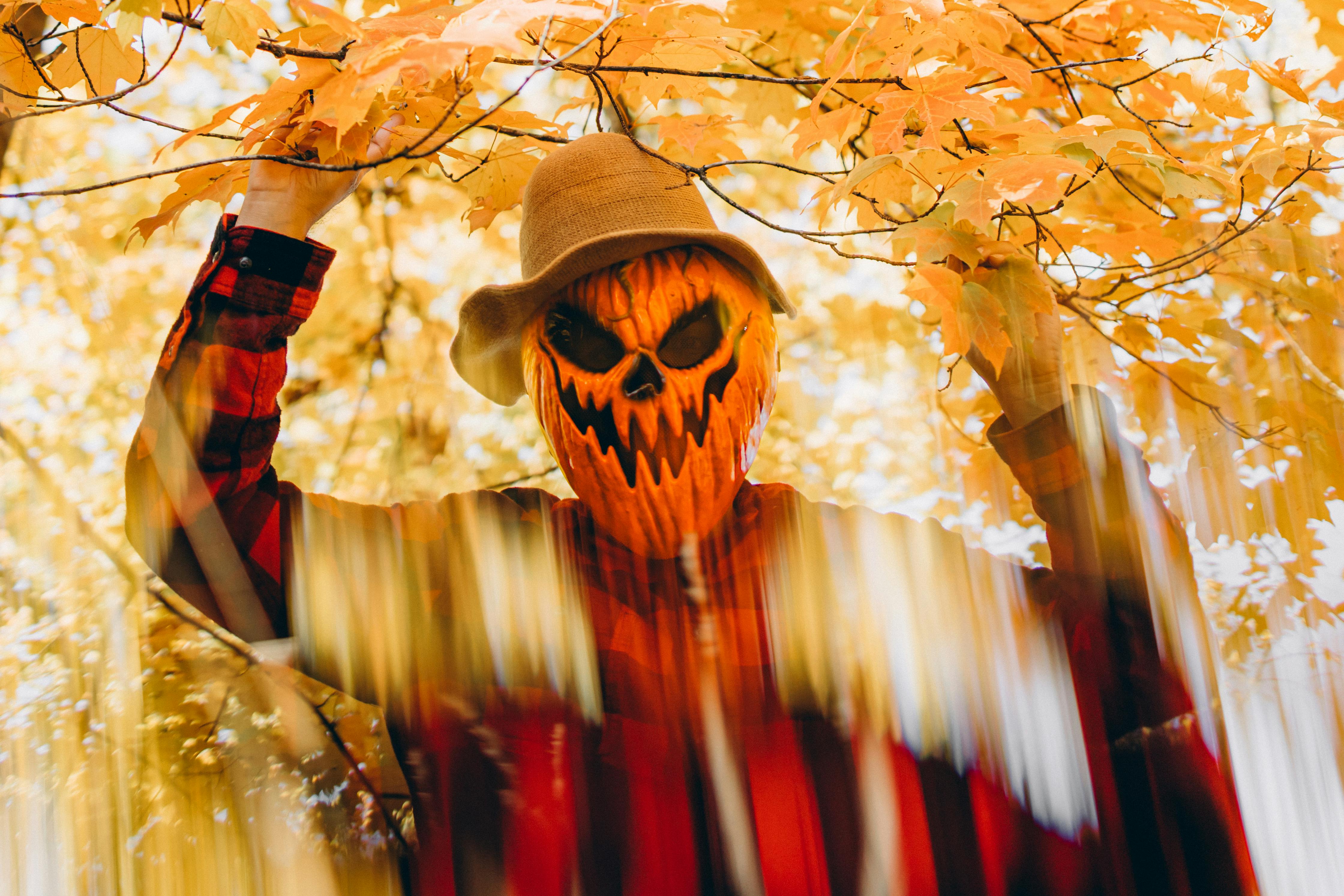 Chicago Embraces Autumn with October Festivals, Pumpkin Patches