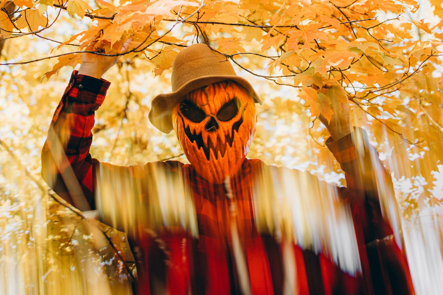 Chicago Embraces Autumn with October Festivals, Pumpkin Patches