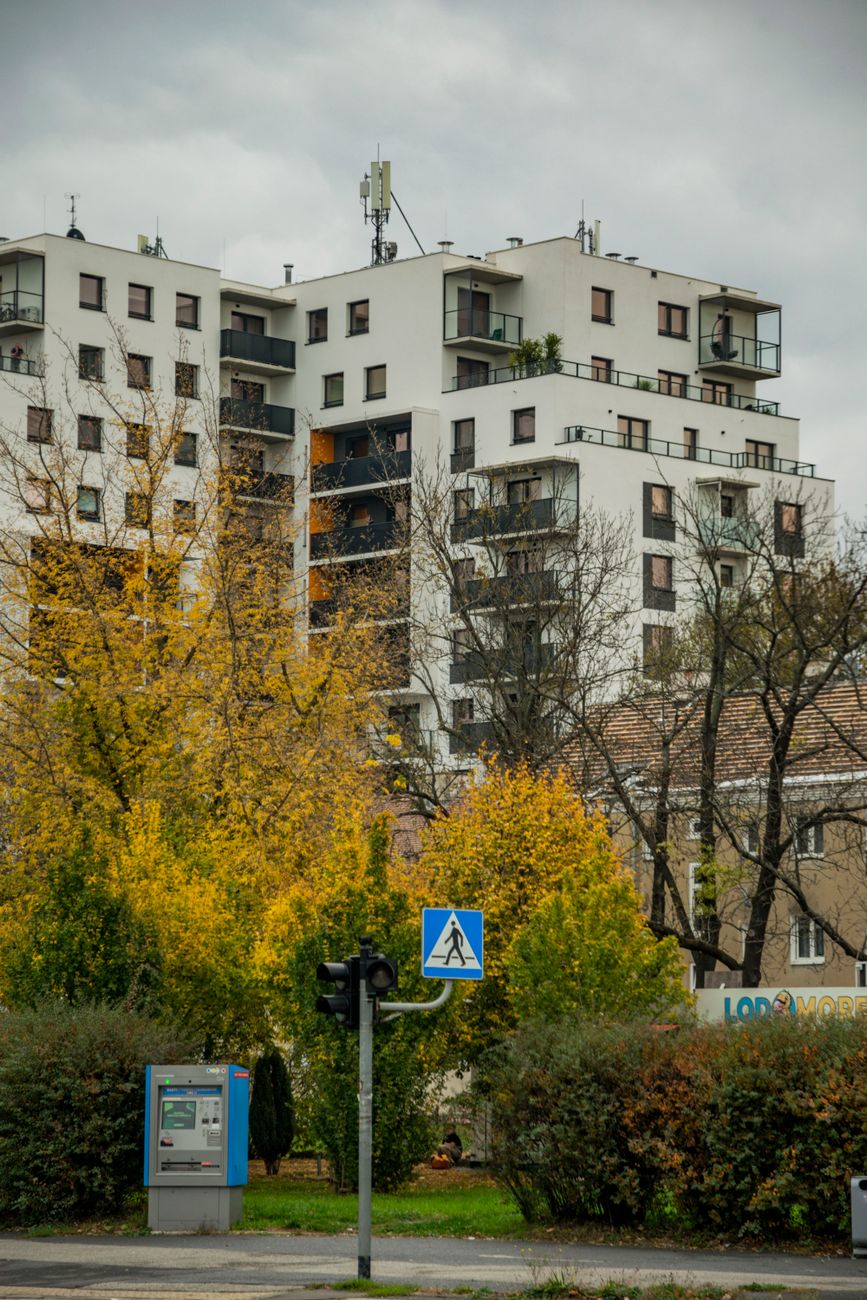 Šéf agentúry pre bývanie Pulte vymenovaný za dočasného riaditeľa Národnej spravodajskej služby