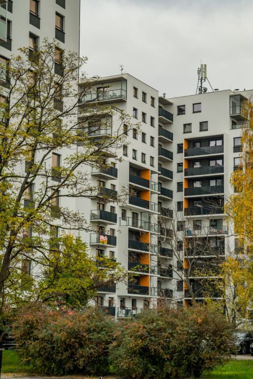 Free Contemporary apartment buildings surrounded by fall trees and greenery. Stock Photo