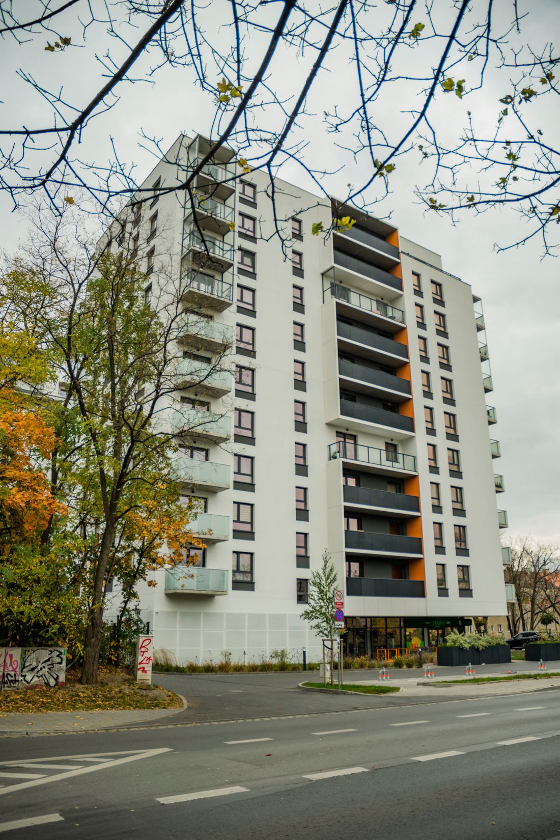 Modern residential development