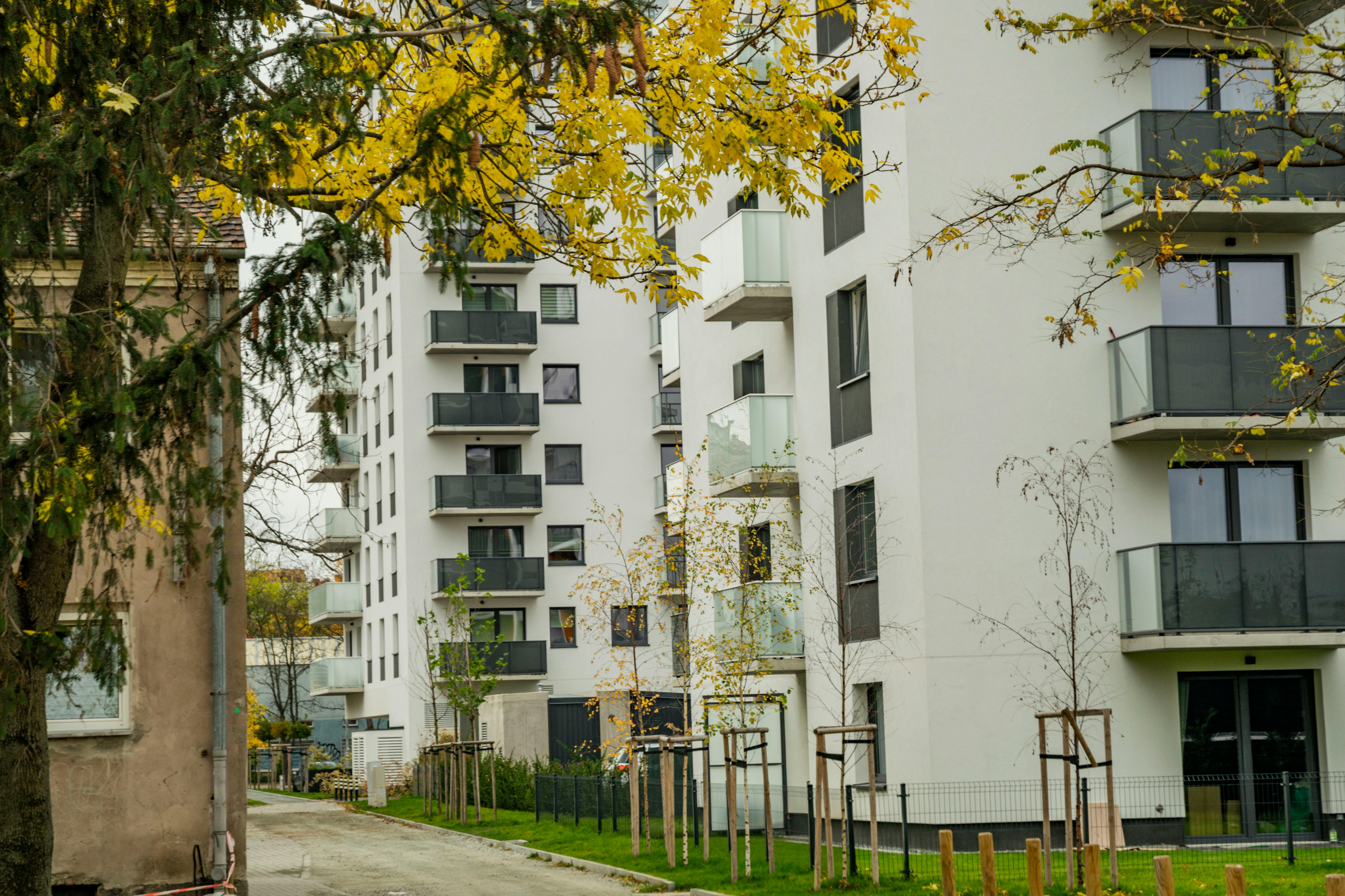 Contemporary apartment buildings in a city during fall with yellow leaves.