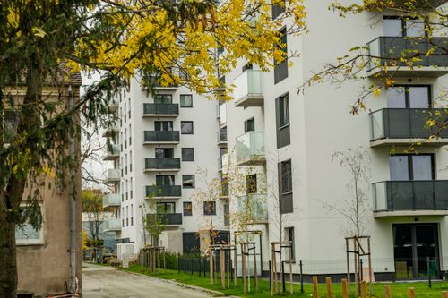 Free Contemporary apartment buildings in a city during fall with yellow leaves. Stock Photo
