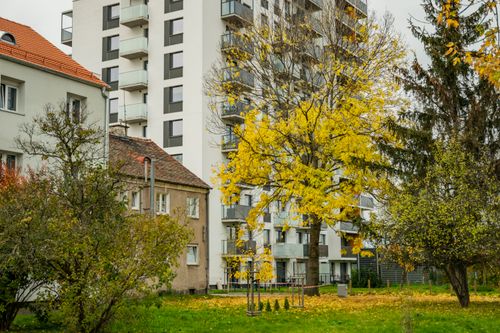 Free Autumn scene of residential buildings surrounded by colorful trees. Stock Photo