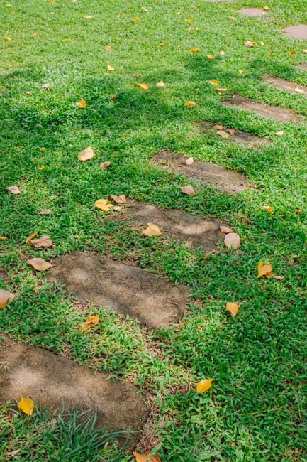 Embracing the Seasons: Timing Your Lawn Leveling for Optimal Growth