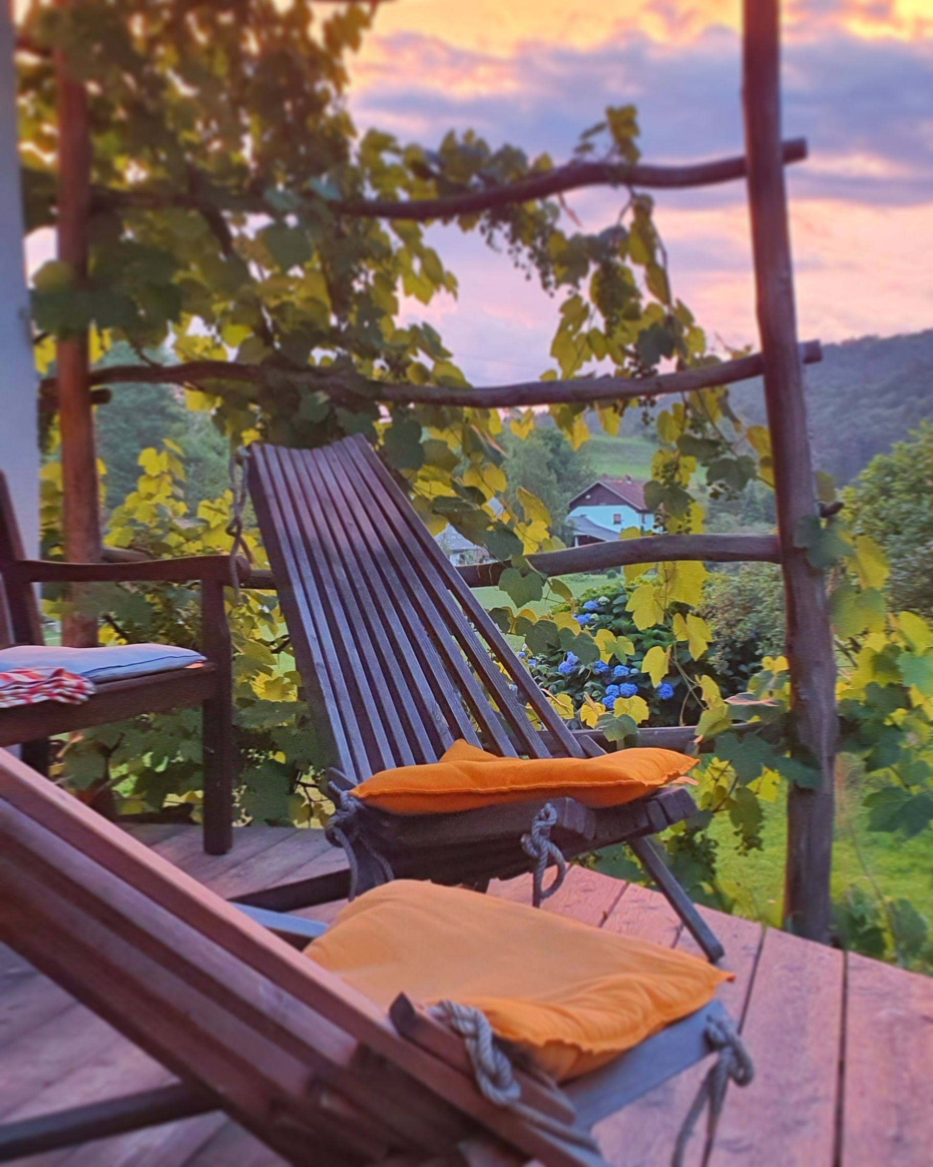 Free Relax! Stock Photo
