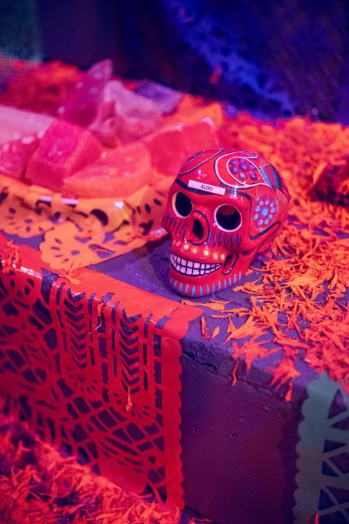Free Colorful Day of the Dead altar featuring a decorative sugar skull and flowers. Stock Photo