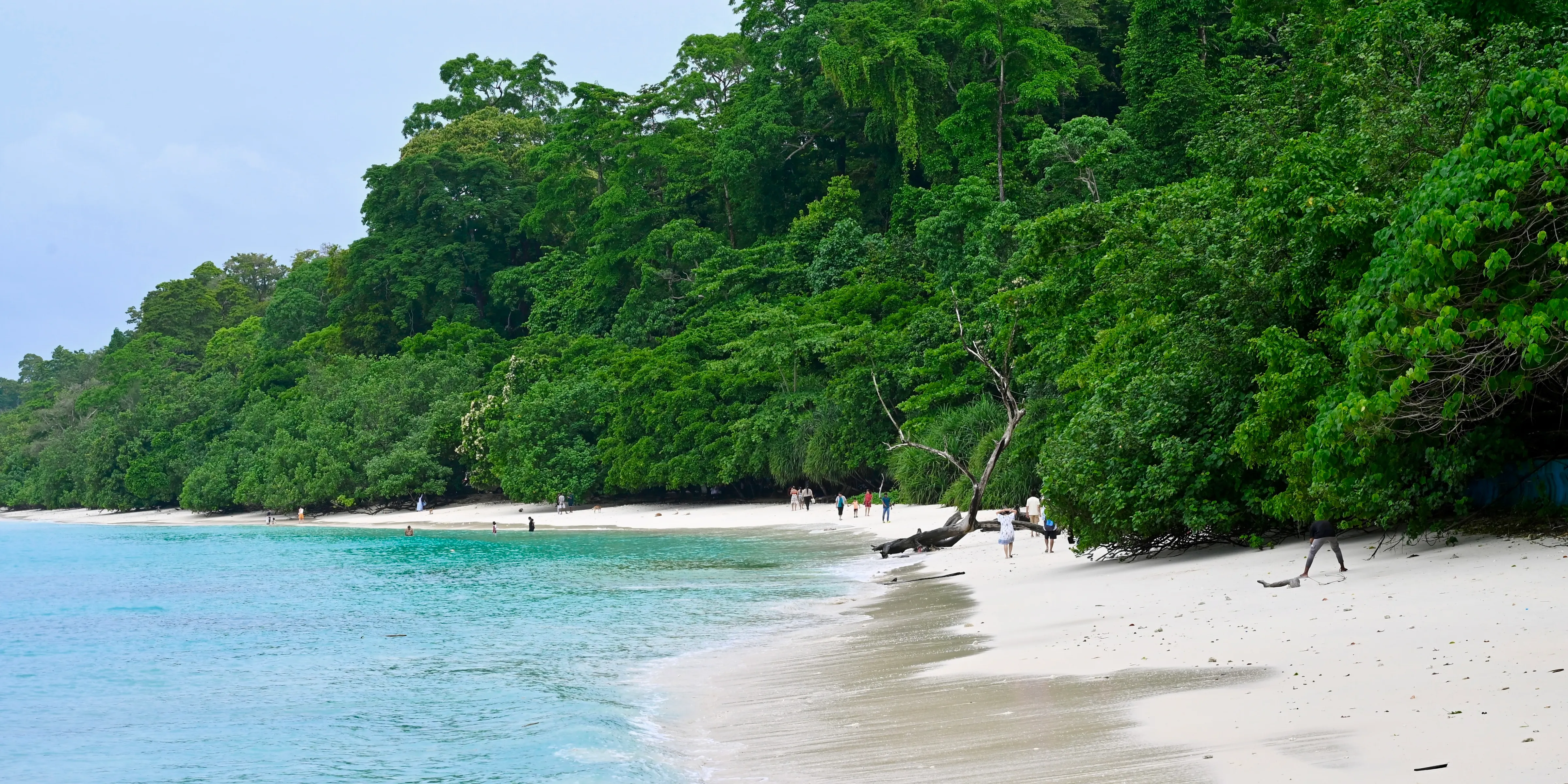 Andaman Islands 6-Day Private Tour: Port Blair, Havelock, Neil — photo 1