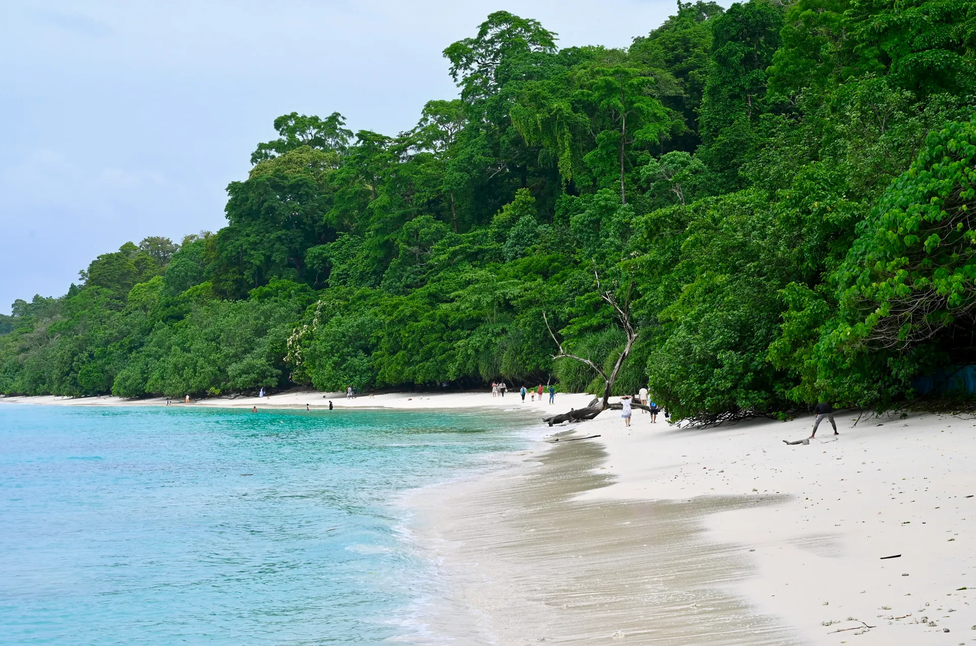 Andaman Islands 6-Day Private Tour: Port Blair, Havelock, Neil