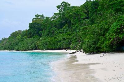 Andaman Tour Package