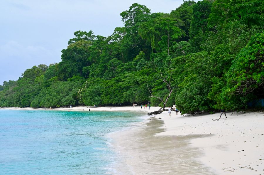 Havelock Island (Swaraj Dweep) photo 4