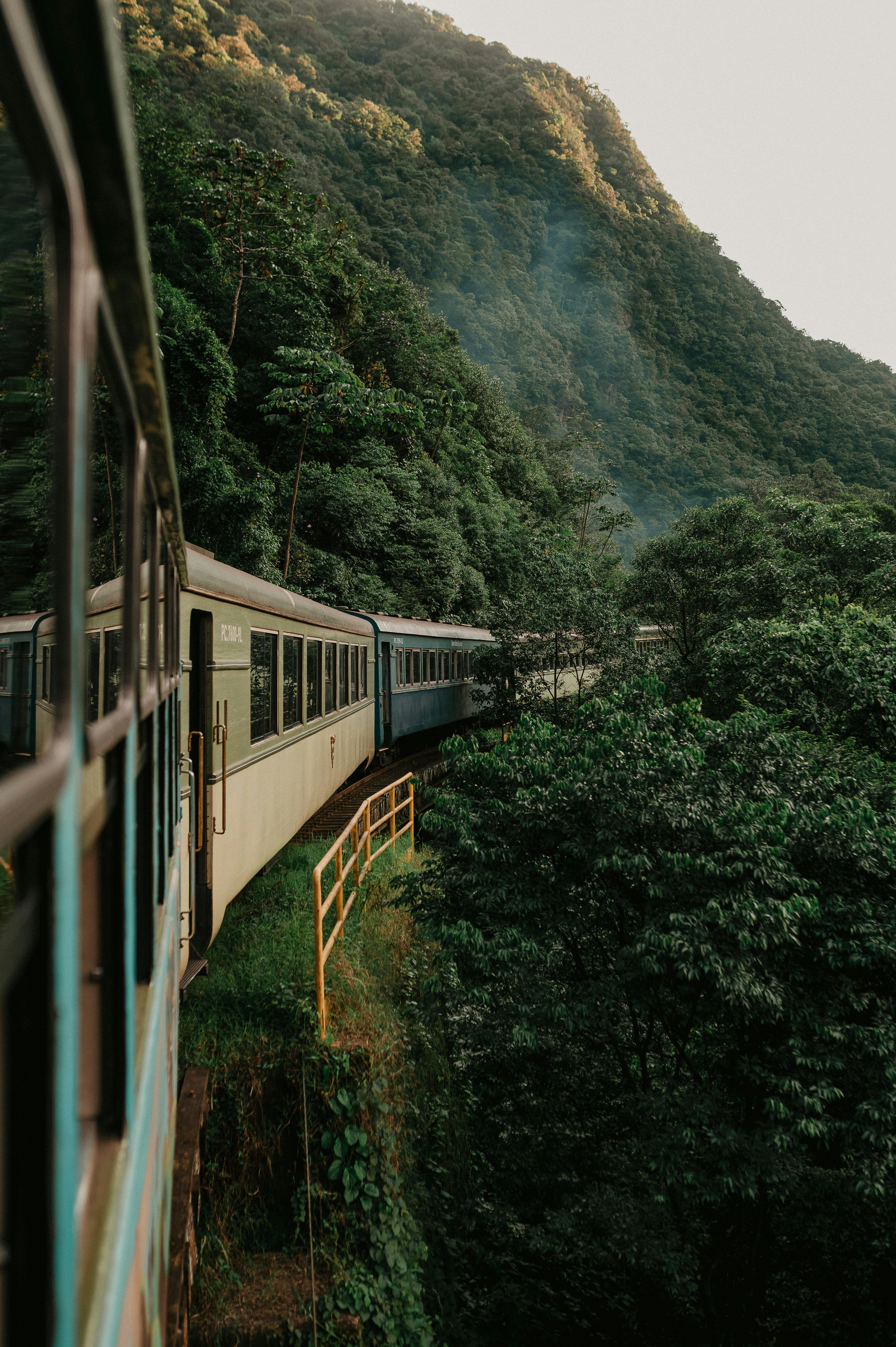 A train traveling through a dense green forest along a mountainous terrain, showcasing nature's beauty.