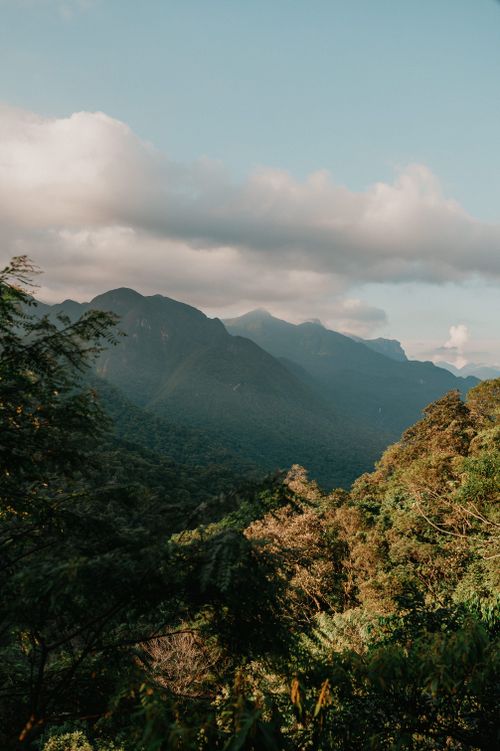 Free A breathtaking view of a lush green forest stretching across a mountain range under a cloudy sky. Stock Photo