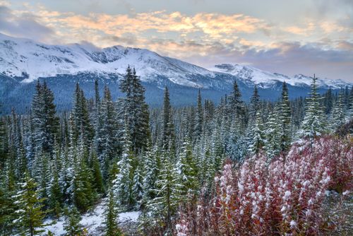 Free Beautiful snowy landscape of Banff National Park with evergreen trees and mountains at sunrise. Stock Photo