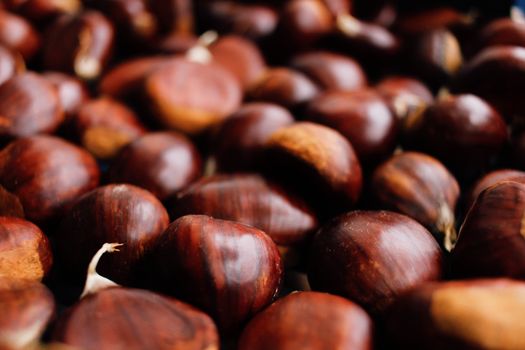 glossy brown chestnuts
