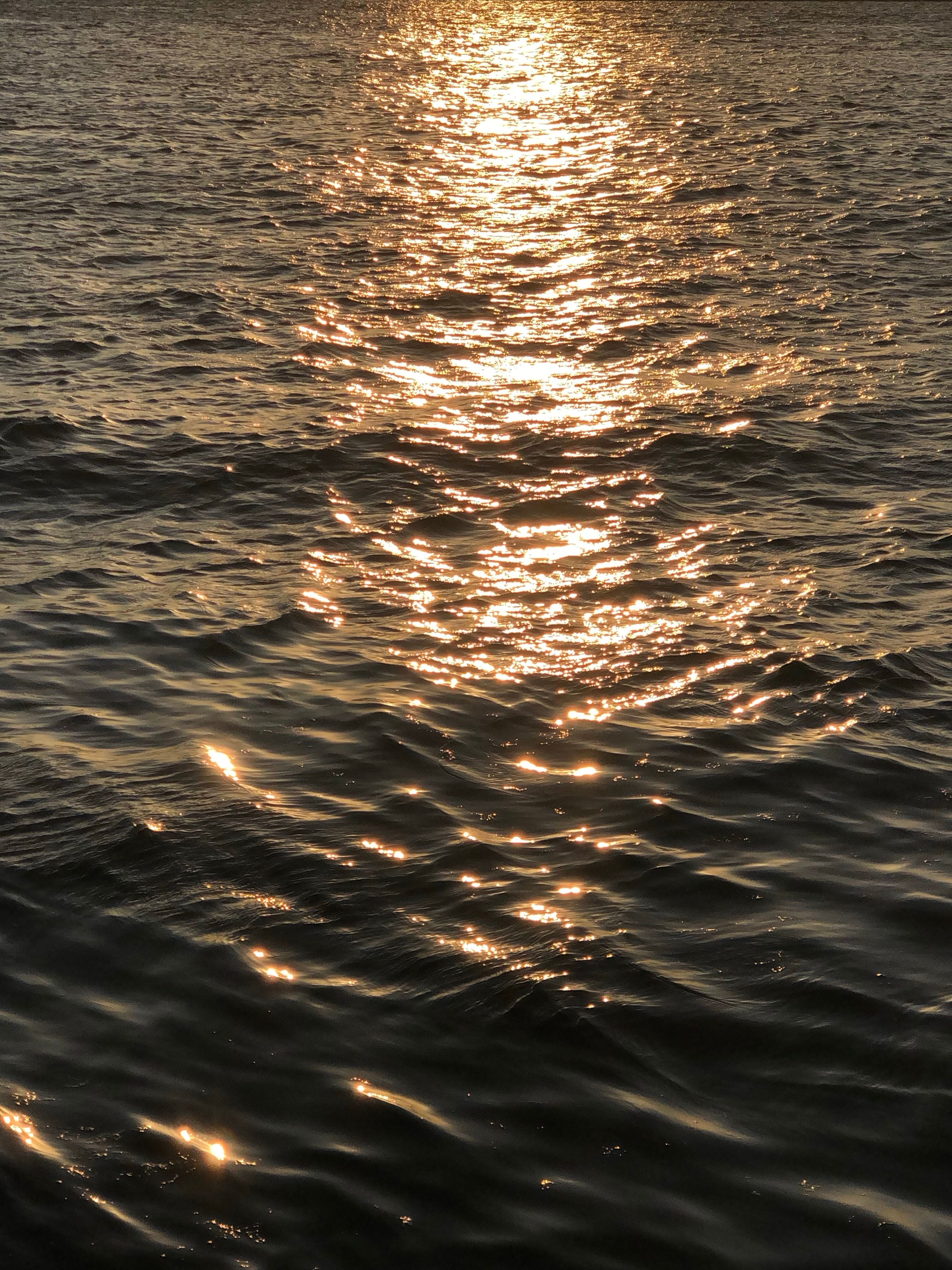 Golden Sunset Reflection on Tranquil Water · Free Stock Photo