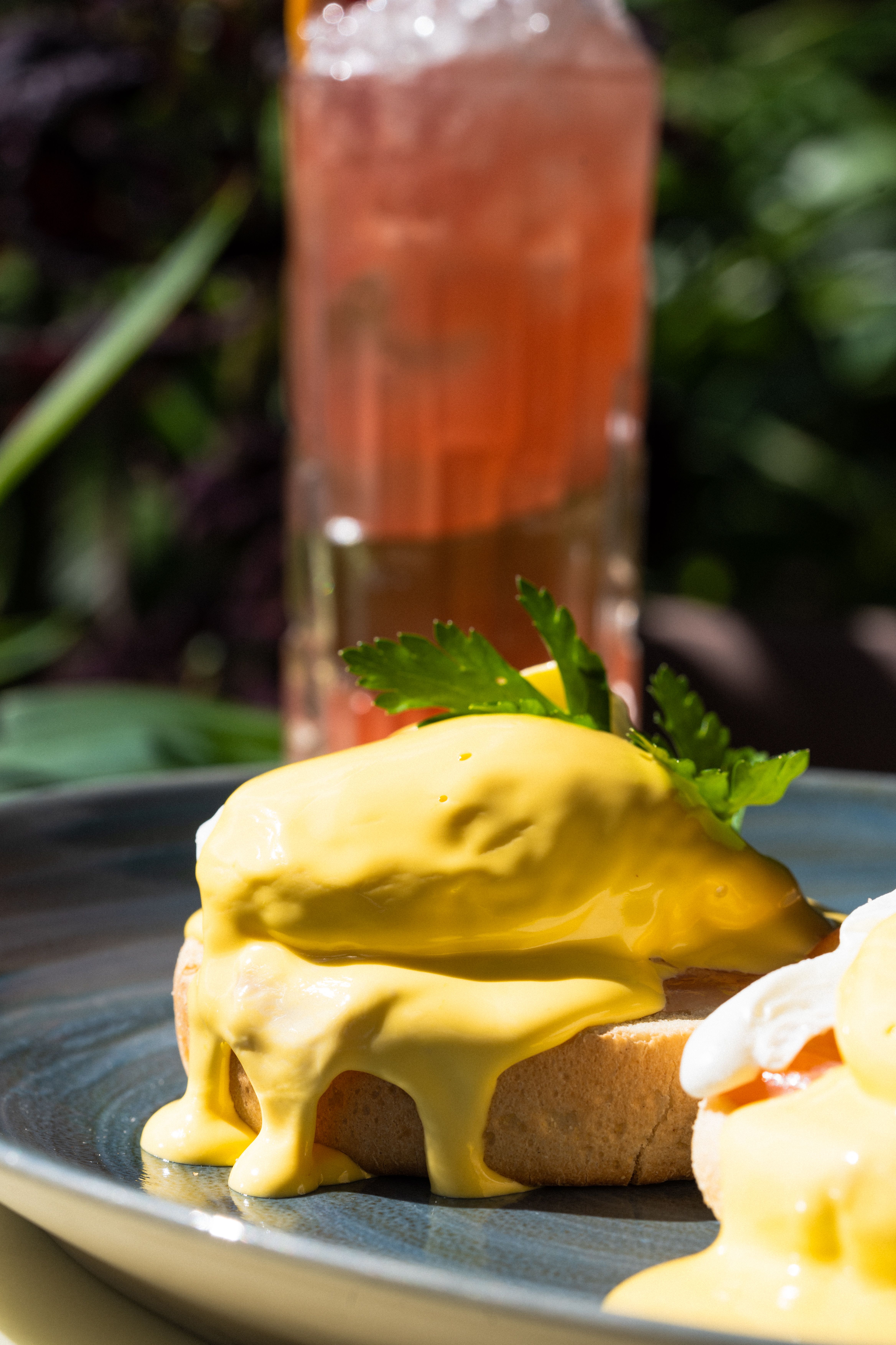 What is “brunch” culture and why is it popular in many U.S. cities?